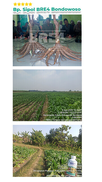 Artboard 8