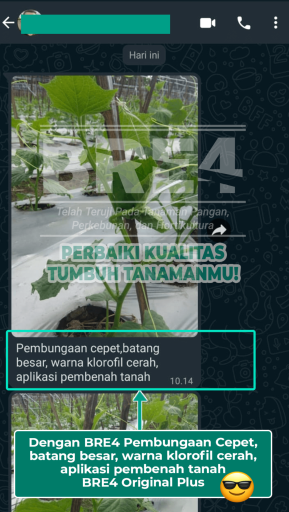 Artboard 4