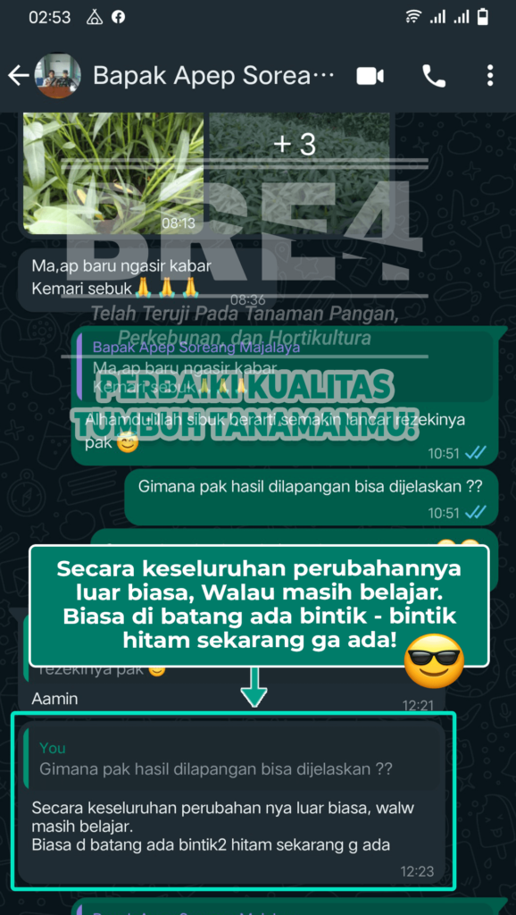 Artboard 6